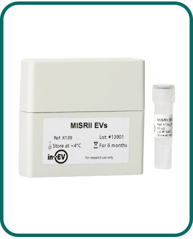 MISRII EVs MISRII EVs
