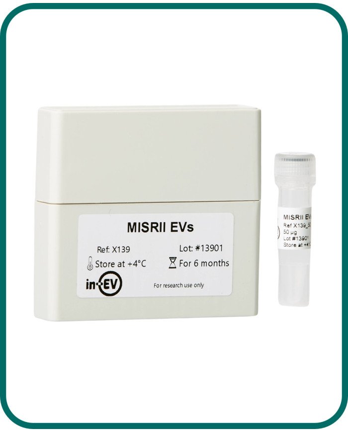 MISRII EVs MISRII EVs