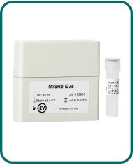 MISRII EVs MISRII EVs