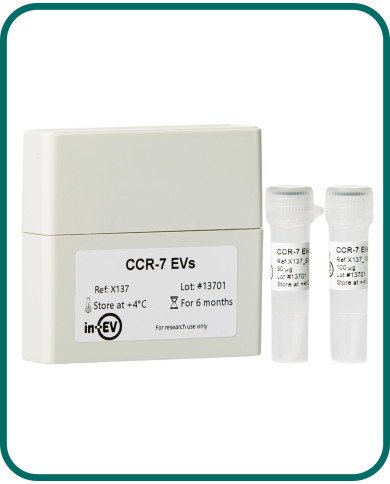 CCR-7 EVs CCR-7 EVs
