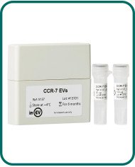CCR-7 EVs CCR-7 EVs