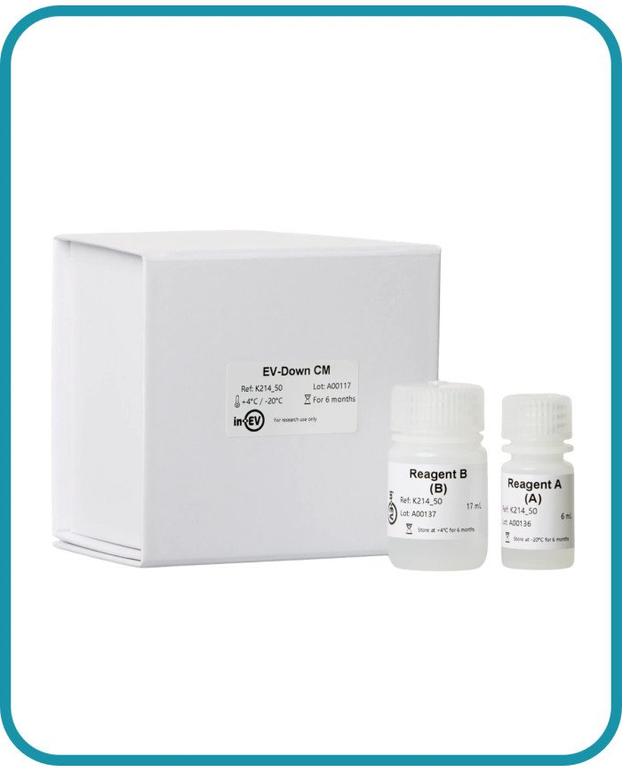 EV-Down CM EV-Down CM