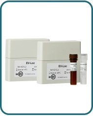EV-Loc EV-Loc