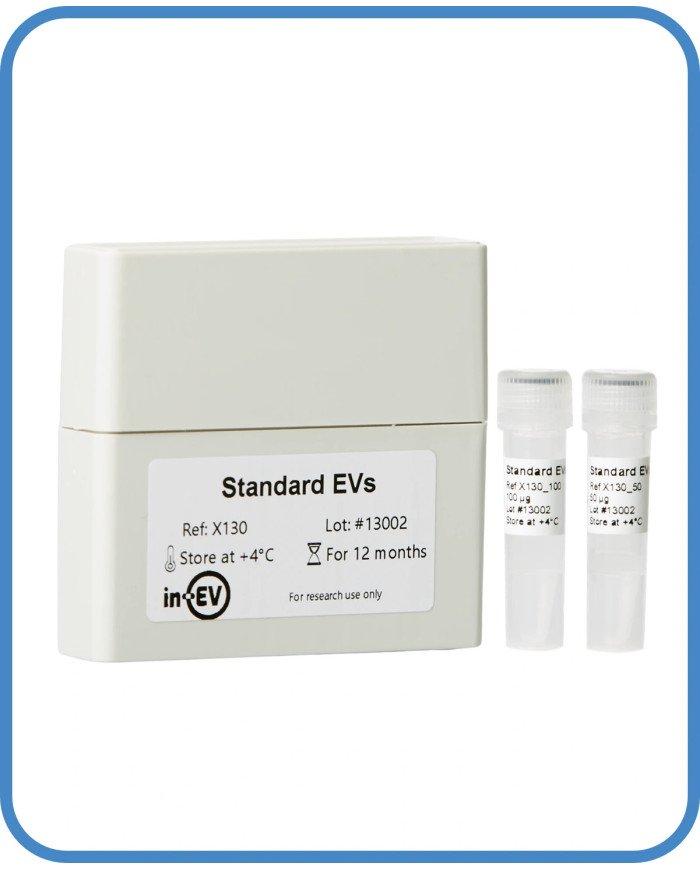 HEK293T Standard EVs HEK293T Standard EVs