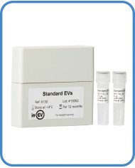 HEK293T Standard EVs HEK293T Standard EVs